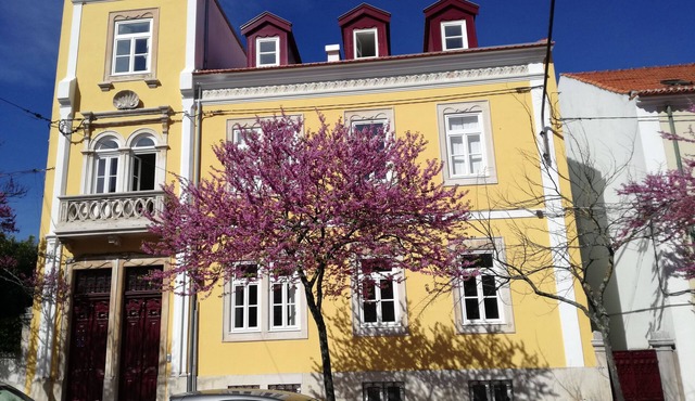 Ah33 - Triple Studio - University and Historic Center
