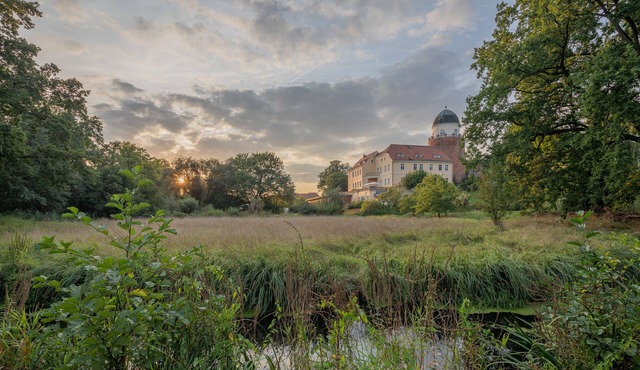 ahead burghotel