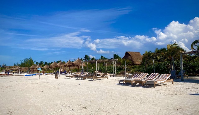 AKBAL Holbox