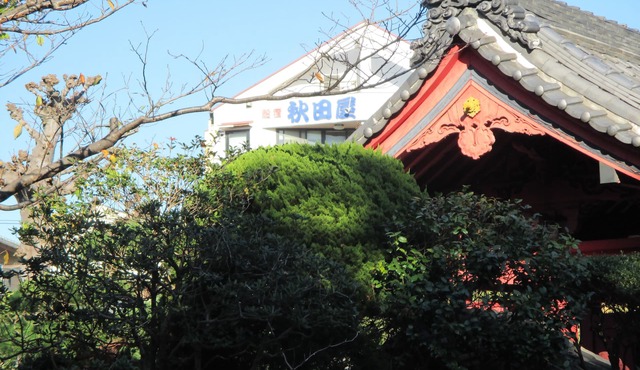 Akitaya