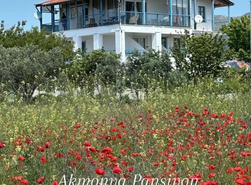 Akmonya Pansiyon