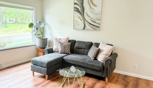 Akron Abode - 2 pm Check In & Check Out