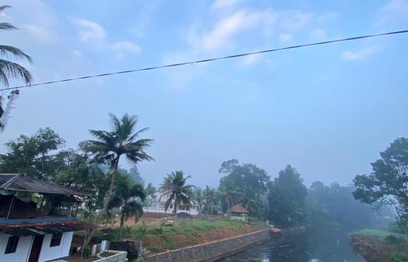 Alappattu meadows