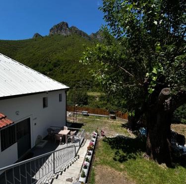 Aldo House