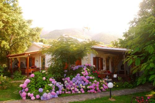 Alekas Studios