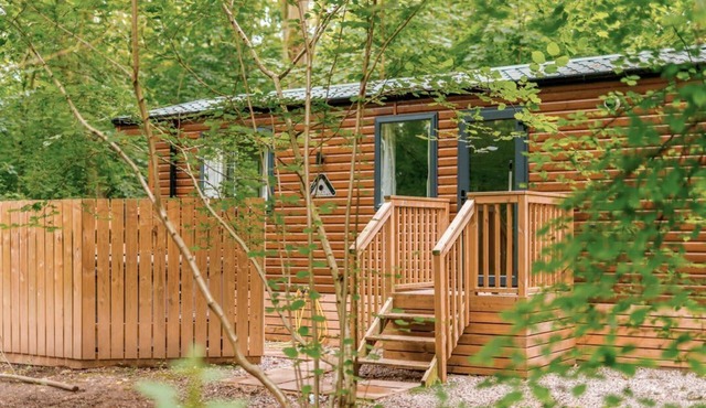 Alford Spa, Kenwick Woods
