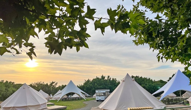 ALIVE Glamping Base