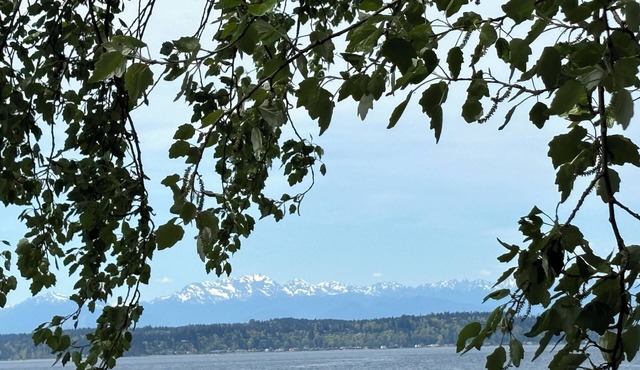 Alki Beach modern and cozy 3 bdrm home near dining, Lumen and T-Mobile park.