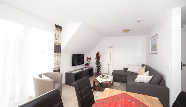 Allergy-friendly apartments 4 stars DTV