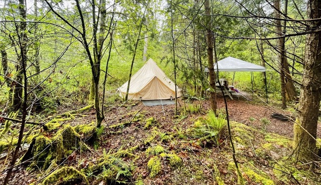 Allure— Vancouver Island