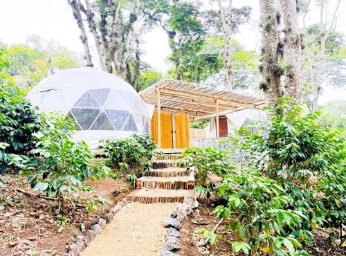 Alma Glamping