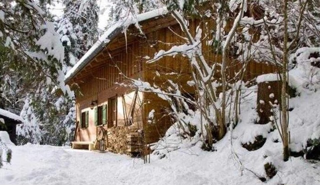 Almhaus - Webermohof holiday home - Exclusive holiday home with private wellness garden