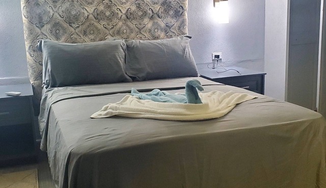 Almond Tree Studio - Modern A/C Apartment w/2 Queen beds in St. James