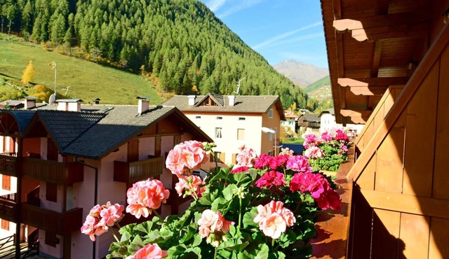 Alpen Hotel Rabbi