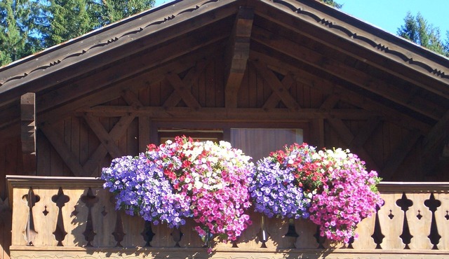 AlpenNaturIdyll
