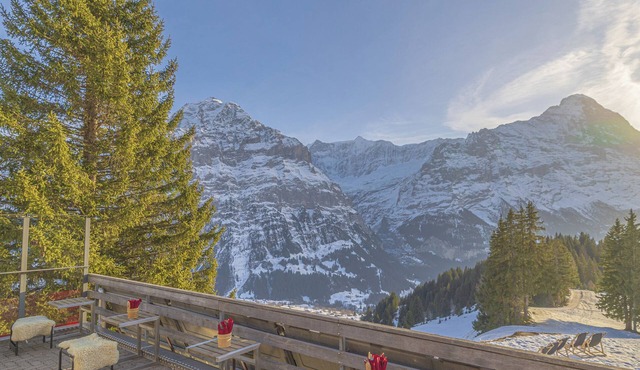Alpinhotel Bort