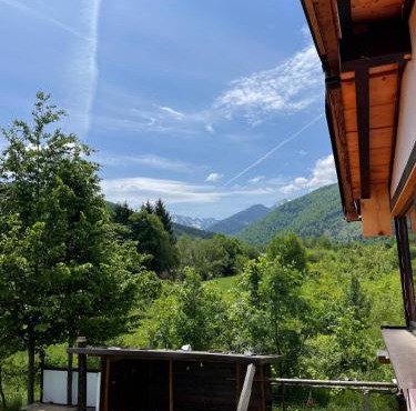 Alpinlife