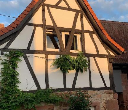 Alte Scheune Birkweiler