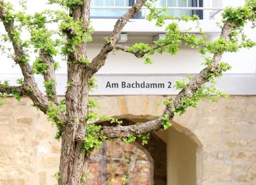 Alte Stadtmauer - Apartment