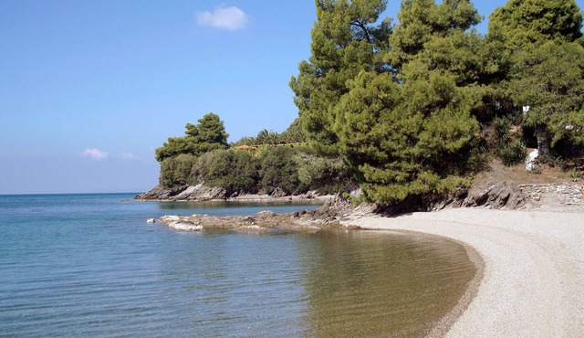 Alterra Vita