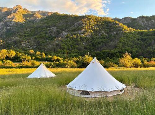 Aluna Camp