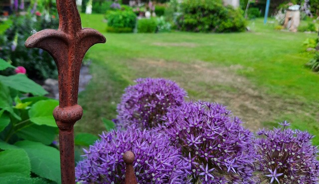 "Am Apfelbaum" vacation apartment. An oasis of peace surrounded by a garden paradise.