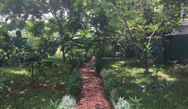 Amadi Villa
