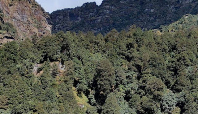 Amar Resort Chopta Tungnath