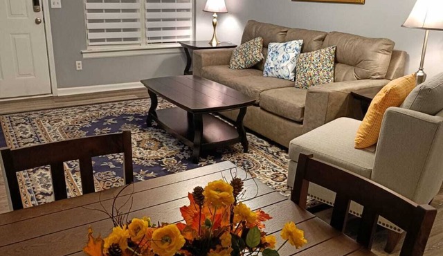 Amazing 2 bed 2 full Bath Duplex in west Rome