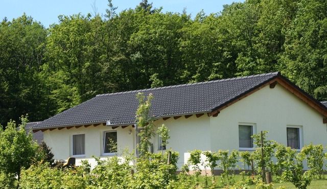 Amazing holiday home in Hinterhausen with private garden