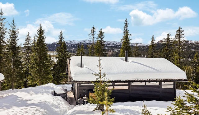 Amazing home in Eggedal with WiFi