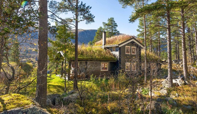 Amazing home in Hovet with sauna