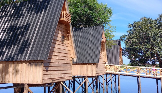 Amazon Private Tours Jungle Lodge