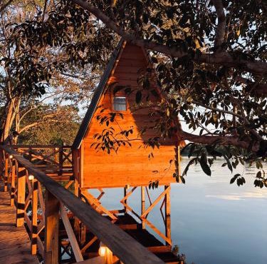 Amazon Private Tours Jungle Lodge