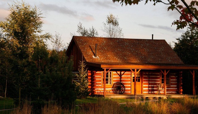Amerikaanse log cabin