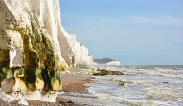 Amherst Brighton