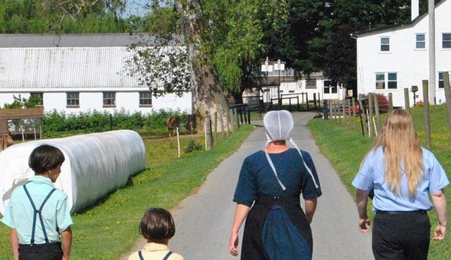 Amish Experience Visit-In-Person Tour