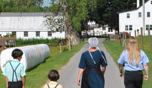 Amish Experience Visit-In-Person Tour