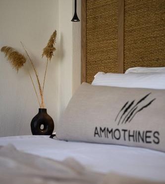 Ammothines Beach Suites
