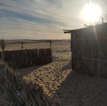 Amon Whisper Dunes