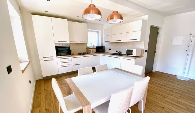 Ample modern and luminous apartment in Predazzo