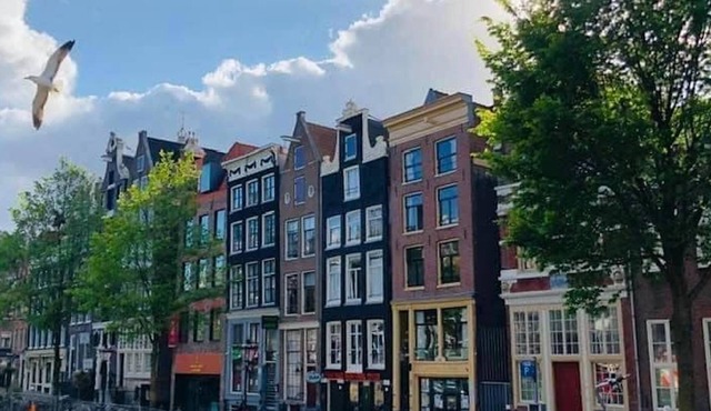 Amsterdam Private Apartment Vondelpark