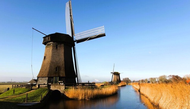 Amsterdam: Windmills Wheelchair-Accessible Private Tour