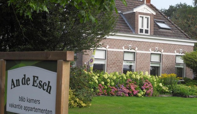An de Esch