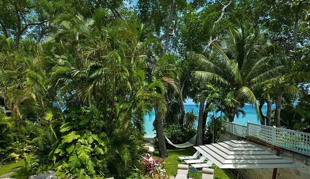 An idyllic setting in a tropical paradise