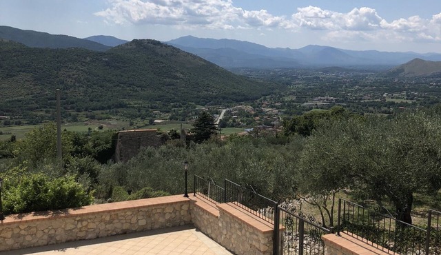 An oasis of peace among secular olive trees