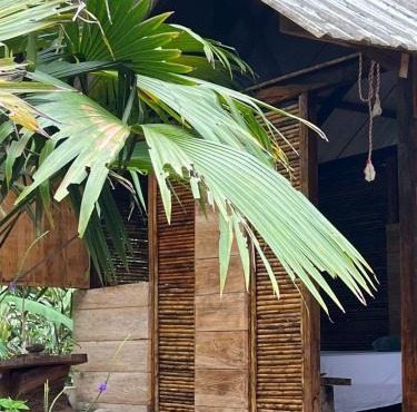 Ancestra black ecolodge