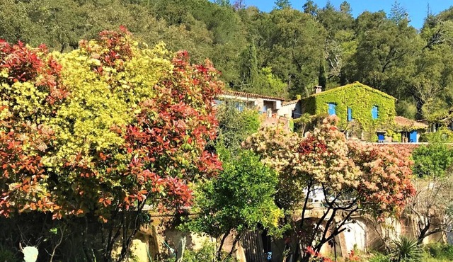 Ancienne Bastide, Au Calme