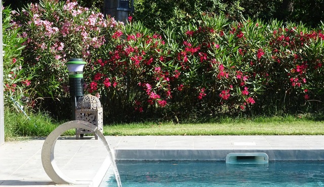 Ancienne Commanderie, 15+3 pers, private heated pool and garden, quiet location