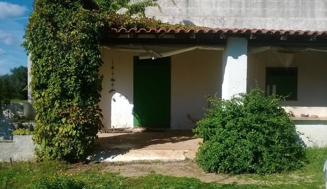 Ancient country house among the olive trees of Salento 20 'from the sea